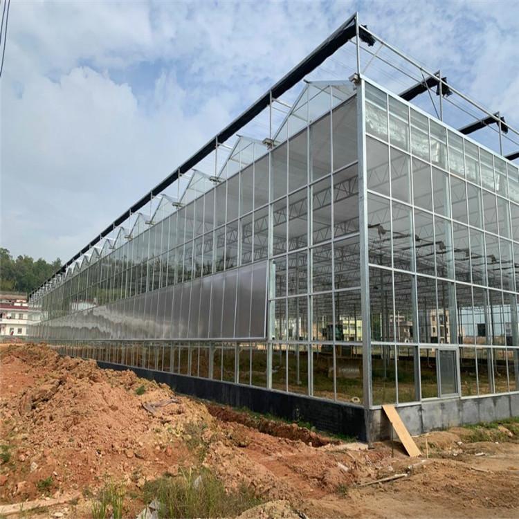 阳光板温室大棚 温室大棚建设 