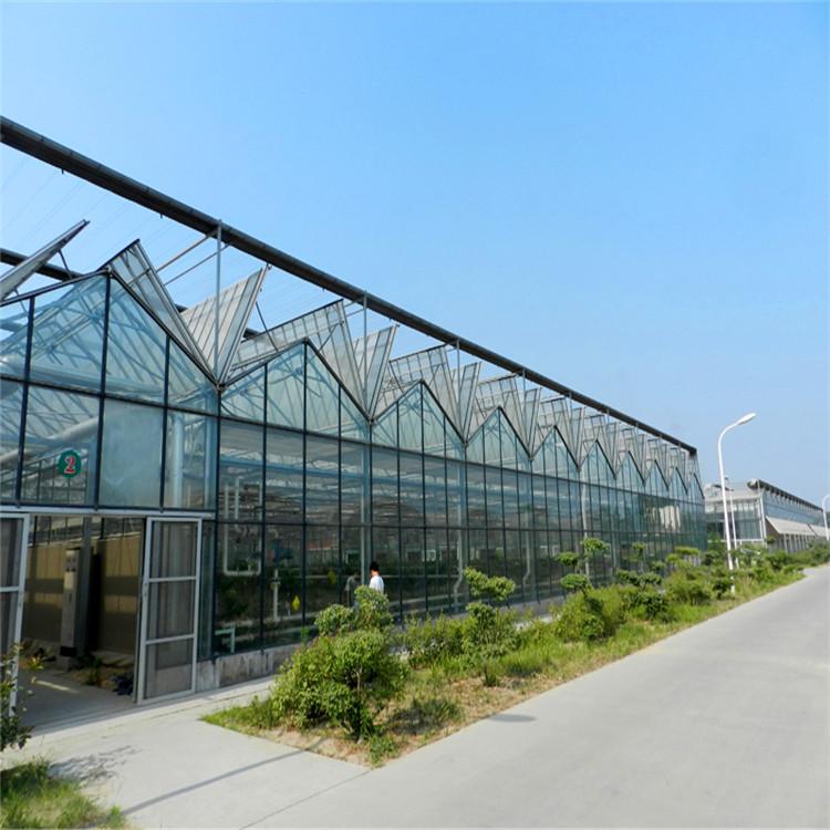 玻璃温室 温室大棚报价 温室大棚建设