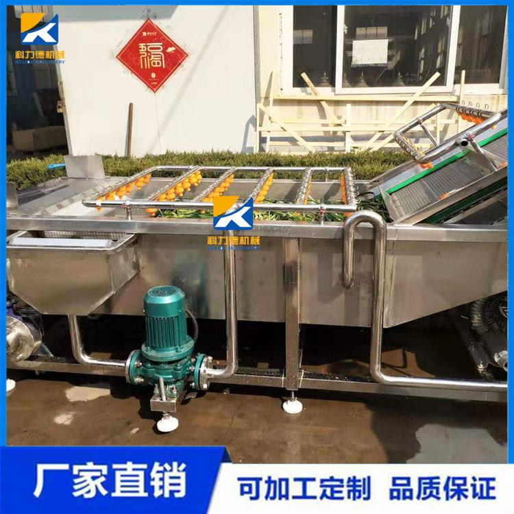 竹笙多功能气泡清洗机 芦笋清洗机设备 不锈钢蔬菜翻浪式高压喷淋气泡清洗机