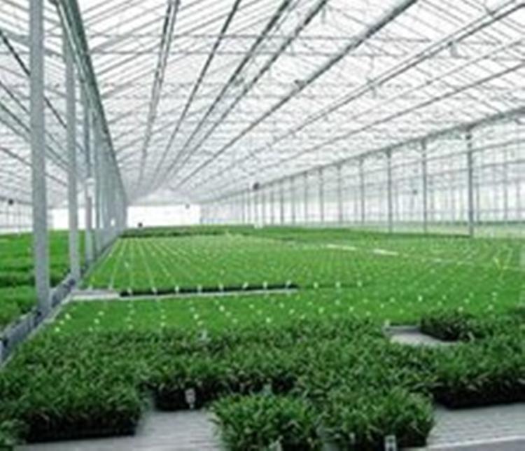 蔬菜温室-花卉苗木温室-山水合承建温室