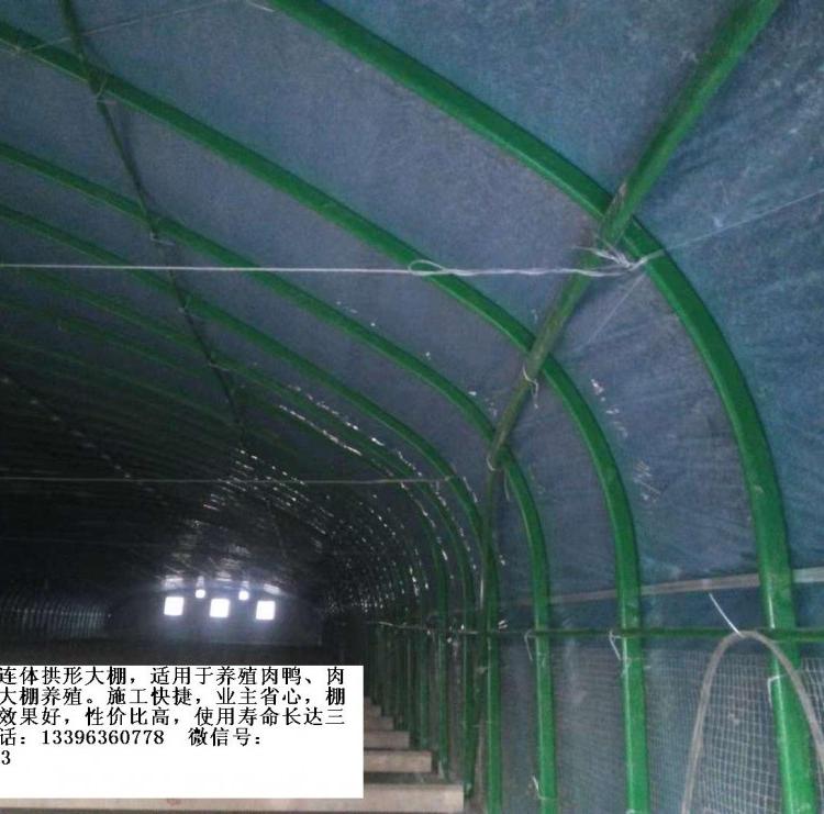 养殖大棚肉鸭蛋鸡养殖大棚厂家可信赖