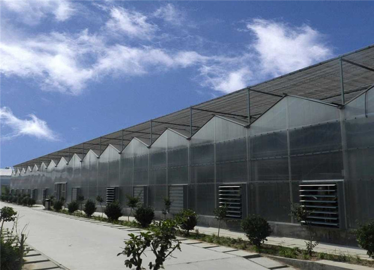 全智能阳光板温室 pc板连栋温室 pc阳光板大棚建设 pc阳光板大棚的建造
