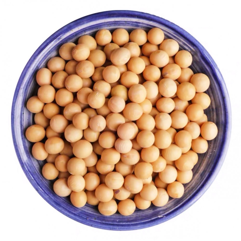 非转基因大豆农家种植有机大豆郑1307 大豆原粮产量高  黄豆农家 厂家直销