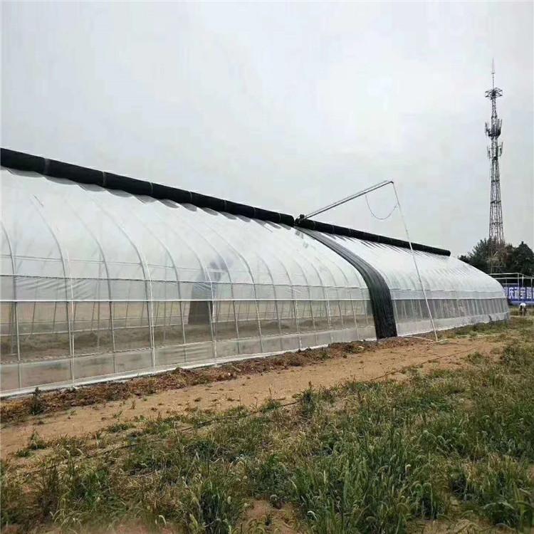 薄膜温室生产厂家 双拱双模温室大棚报价 连栋薄膜蔬菜大棚