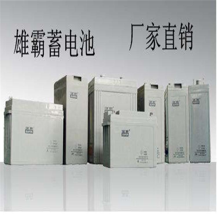 雄霸蓄电池6-FM-40 九洲铅酸蓄电池12V40AH UPS蓄电池