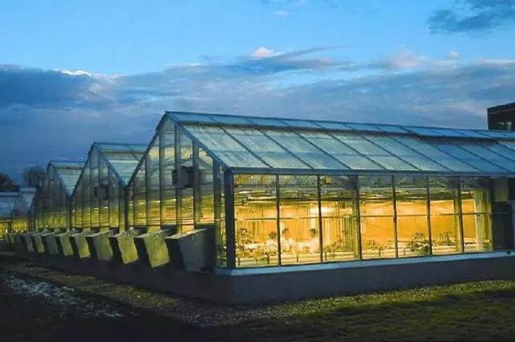 温室承建大棚-种类齐全温室大棚制造商