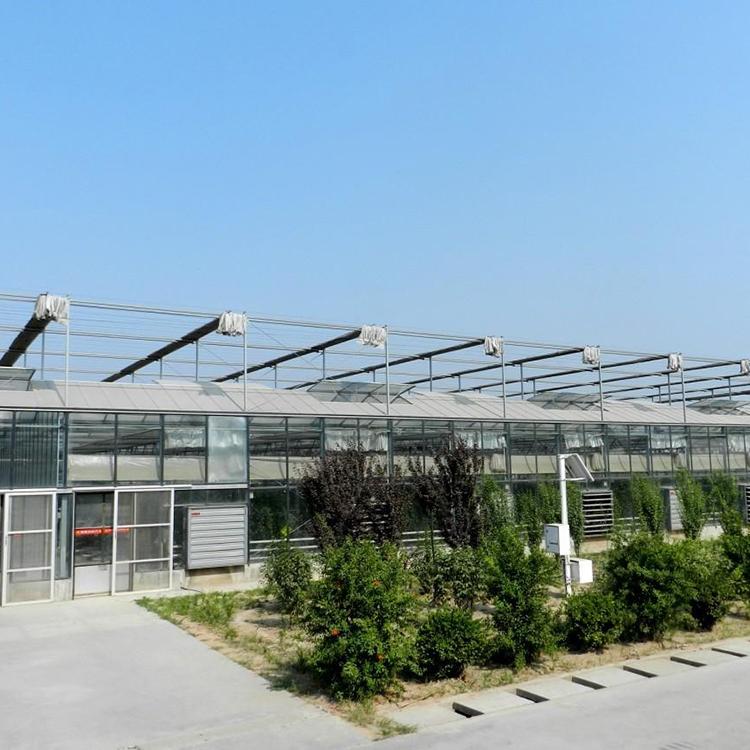 玻璃温室大棚 浩源玻璃温室大棚 玻璃温室大棚安装