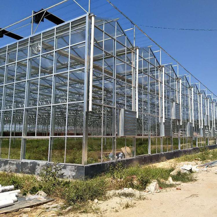 温室玻璃大棚 承建温室玻璃大棚 温室玻璃大棚公司