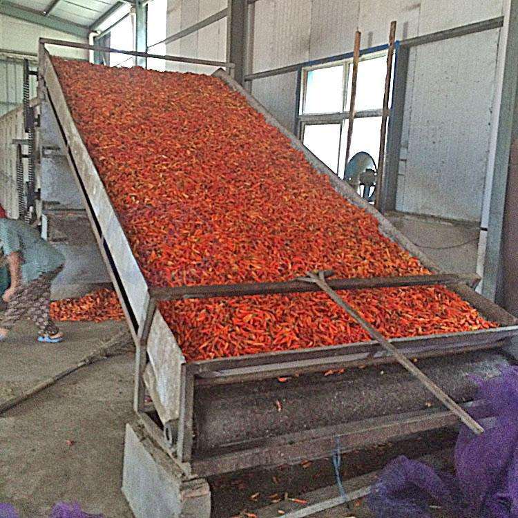 南方热科 辣椒烘干机定制加工 辣椒烘干设备 生姜烘干机 可定制