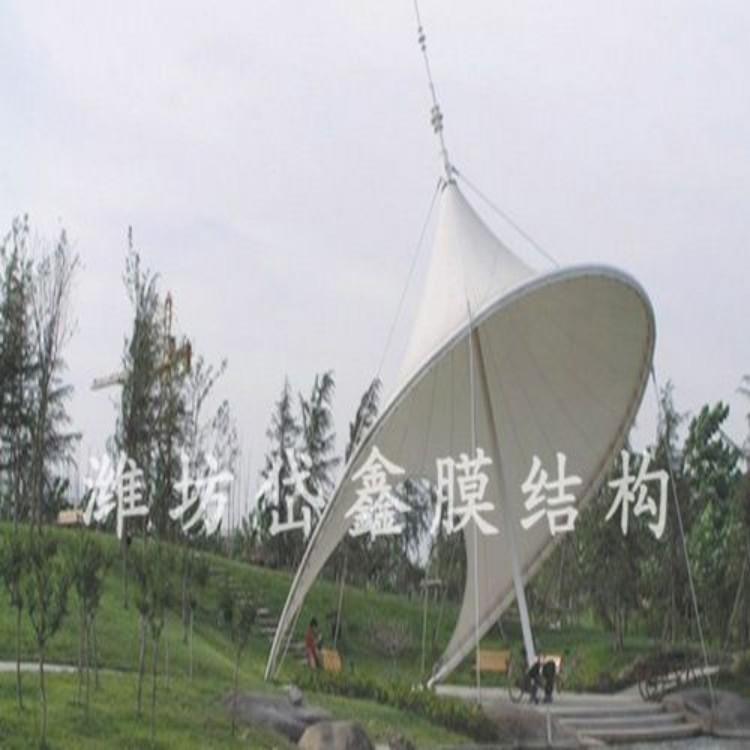 反吊膜 张拉膜煤棚 公交车车棚 遮阳棚 广场遮阳棚 小区车棚