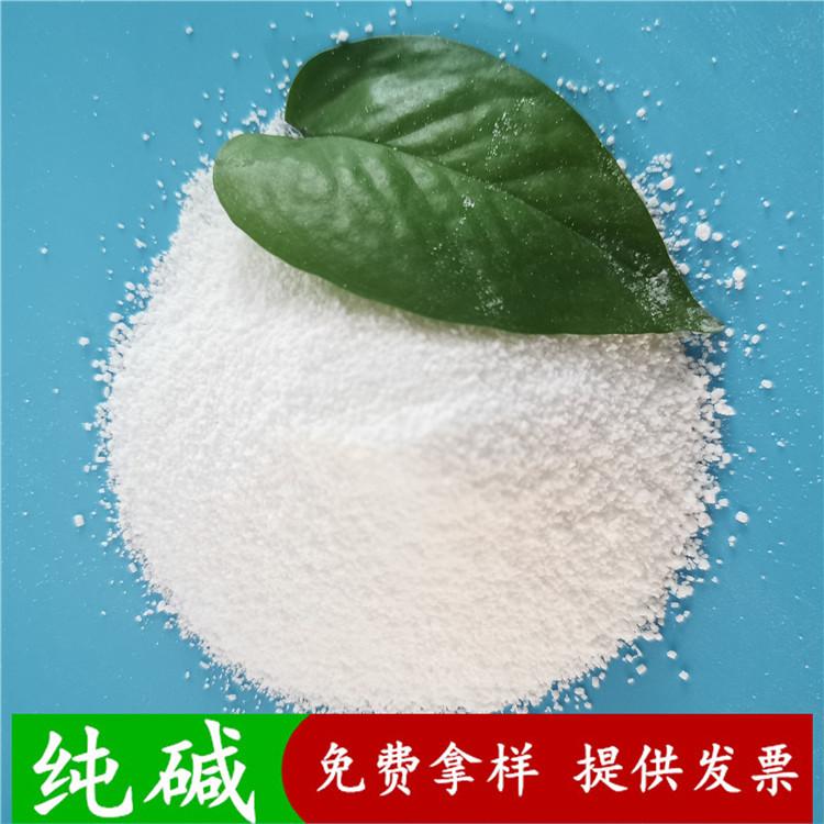 纯碱  山东现货工业级纯碱碳酸钠  玻璃用纯碱