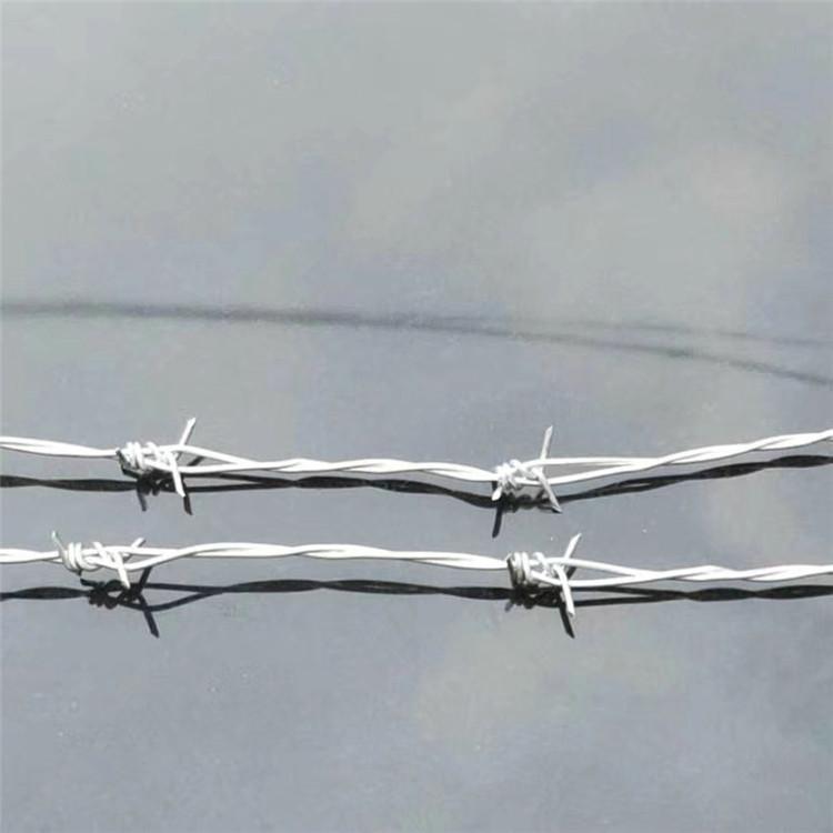 飞腾丝网 正反拧PVC刺绳 抗拉刺绳 支持定做