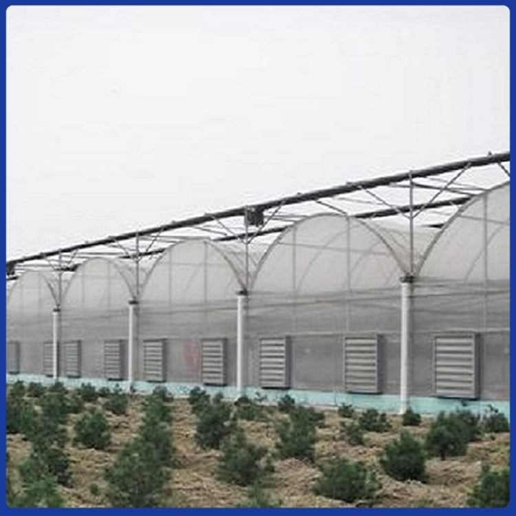 连栋温室大棚 蔬菜连栋薄膜温室承建商 青州龙玺