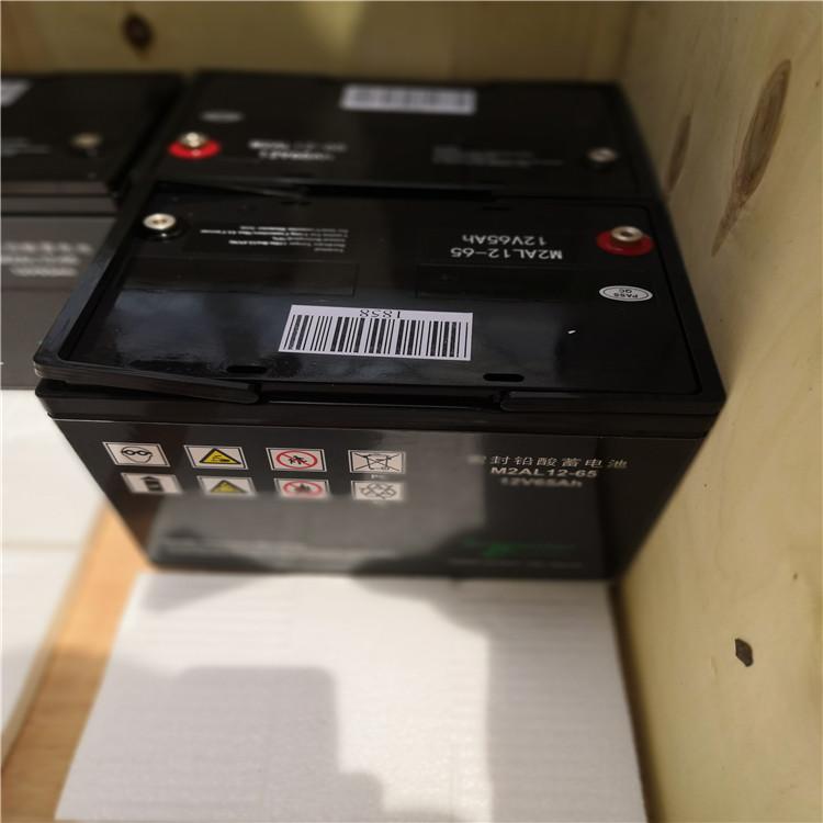 梅兰日兰蓄电池M2AL12-65MGE 密封铅酸蓄电池12V65AH UPS电源