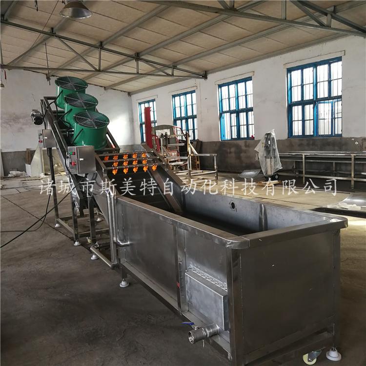 茶叶清洗流水线  自动上料果蔬清洗流水线  斯美特品质保障