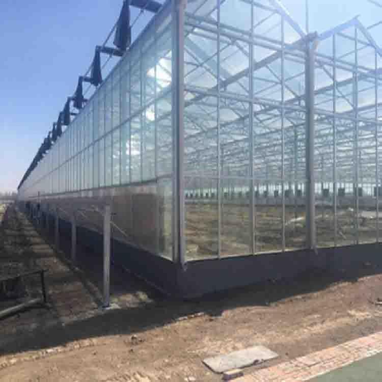 玻璃温室大棚工程 山东花卉玻璃温室