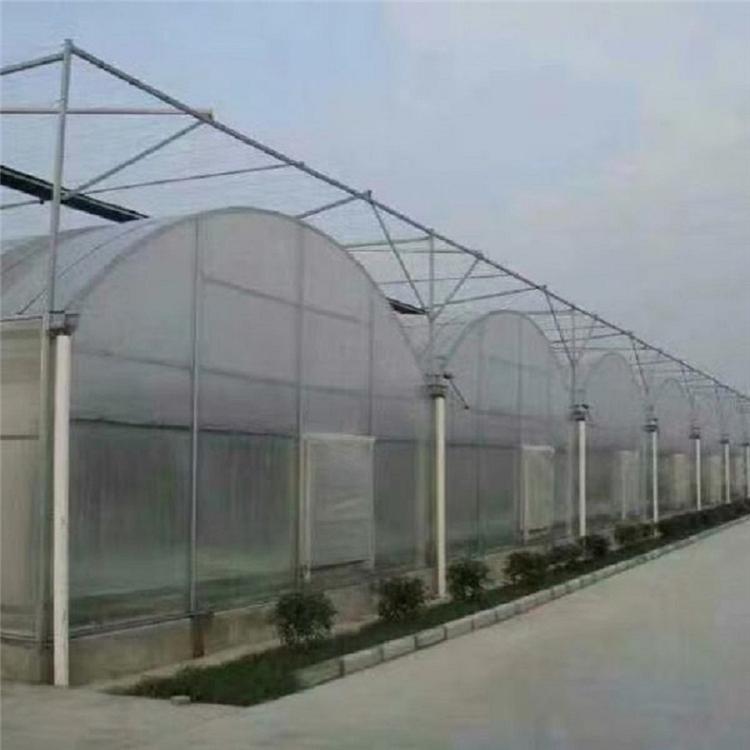 薄膜连栋温室 花卉温室大棚-连栋温室建造商