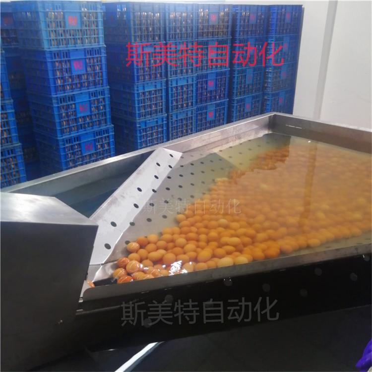 大量生产鸭蛋清洗机 全自动单排鸡蛋洗蛋机 鸡蛋鸭蛋深加工设备