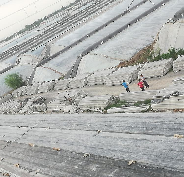 出售葡萄架立柱 葡萄架立柱批发价格 质量保障