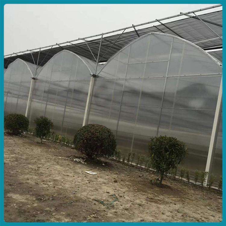 合理利用空间 薄膜温室大棚 连栋薄膜温室建造