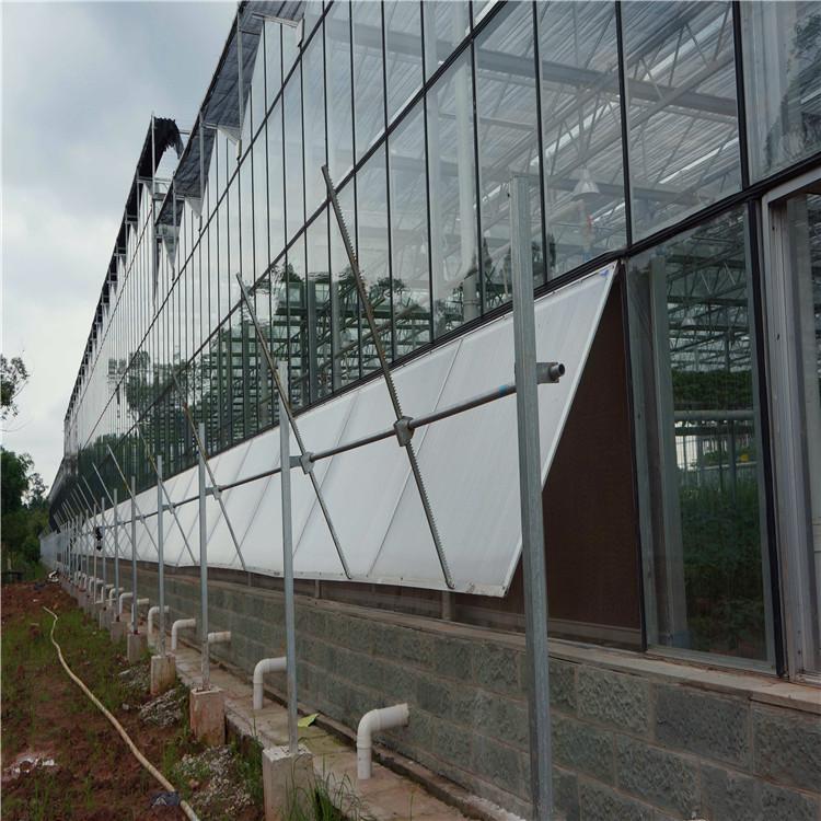 玻璃温室大棚 温室大棚建设
