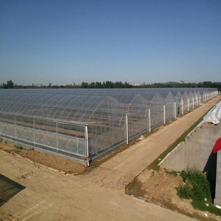 新型连栋日光温室大棚造价  薄膜连栋温室建造  生态温室连栋大棚