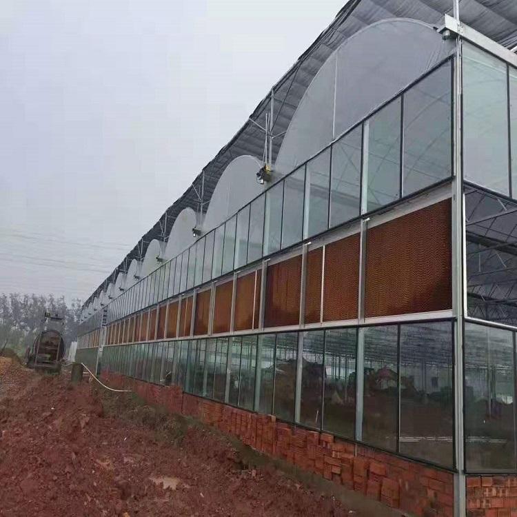 建造可定制薄膜温室  薄膜连栋温室承建  连栋智能温室大棚