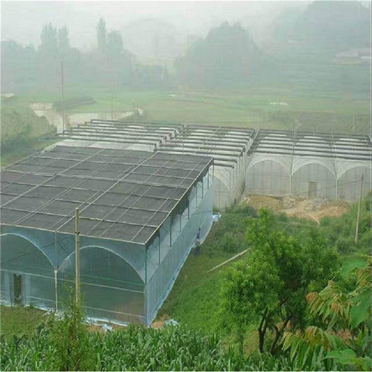 蔬菜连栋温室 多规格可选 潍坊连栋温室建设