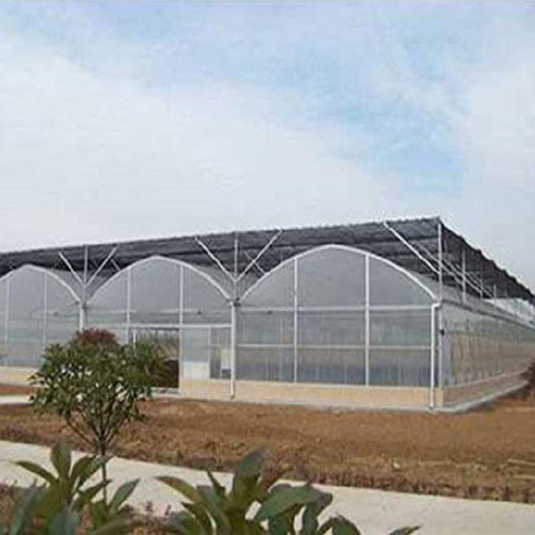 玻璃连栋温室 使用时间久 青州连栋温室建设