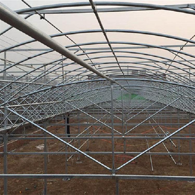 使用时间久 智能连栋温室 连栋温室建设