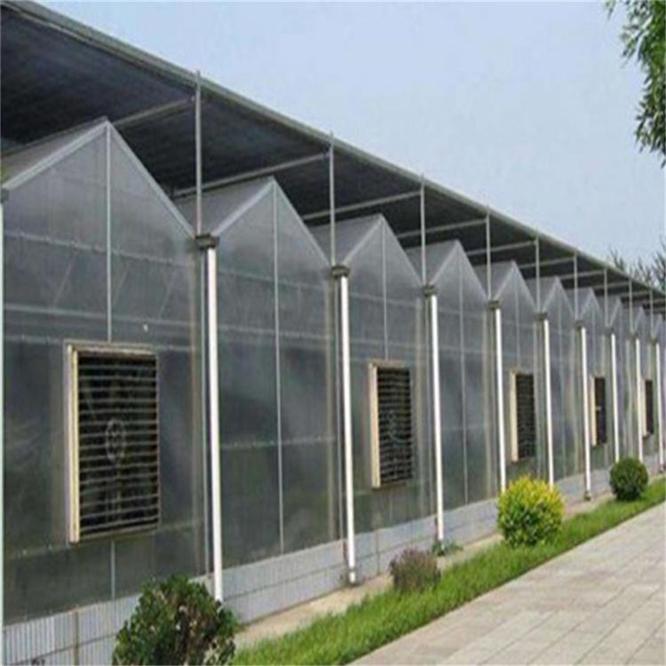 玻璃大棚 山东蔬菜玻璃温室建设