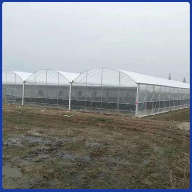 连栋温室大棚工程 搭建蔬菜连栋温室 草莓连栋温室