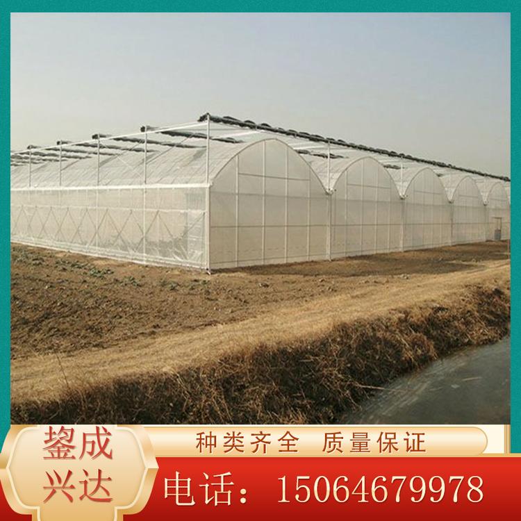 山东农业温室大棚价格 反季节蔬菜温室大棚 薄膜连栋温室大棚  欢迎咨询鋆成兴达