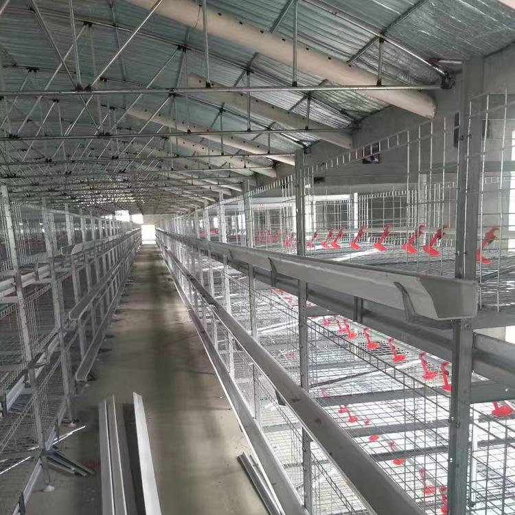 贵州  富博农牧 养鸡鸡笼 肉鸡笼 鸭笼 层叠式鸡笼 自动清粪鸡笼 框架鸡笼 元宝鸡笼养鸡笼子厂家批发