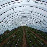 智能日光温室大棚承接承建 日光温室农业项目 日光蔬菜大棚工程建设