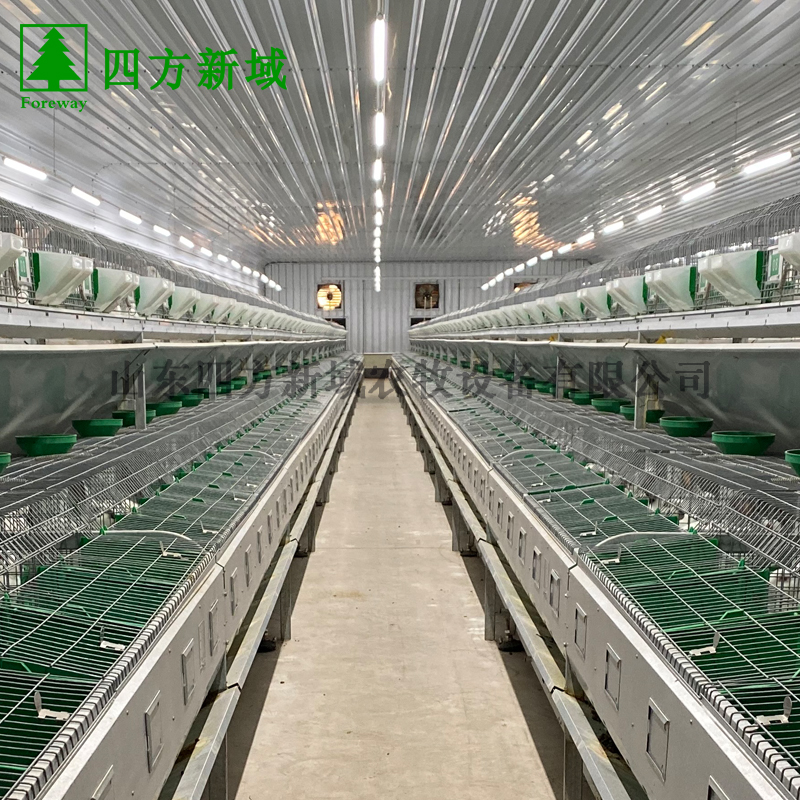 繁殖兔笼 欧式兔笼直供 欢迎来购 四方新域品质保障