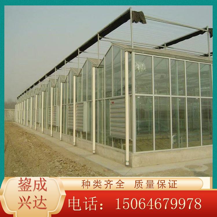 厂家供应玻璃温室 智能温室 温室工程 欢迎咨询鋆成兴达
