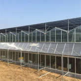 高质量连栋温室建设 连栋智能温室大棚报价 玻璃连栋温室设计安装 北方园艺温室