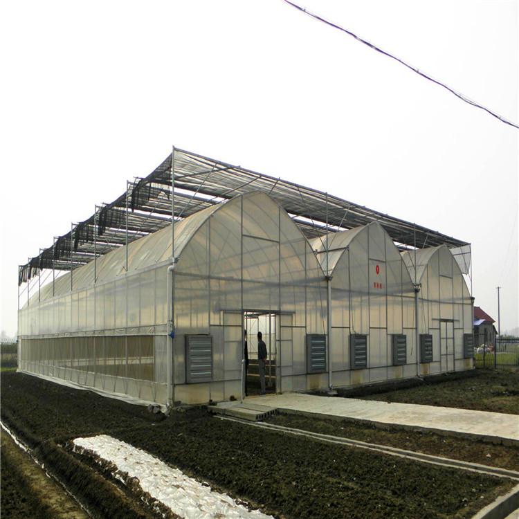 连栋薄膜温室大棚 温室大棚建设 温室大棚