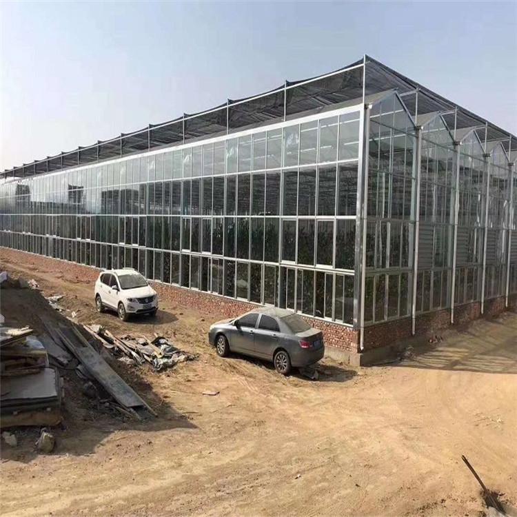 阳光板温室结构特点 pc阳光板智能温室大棚建造商 北方阳光板温室工程报价设计