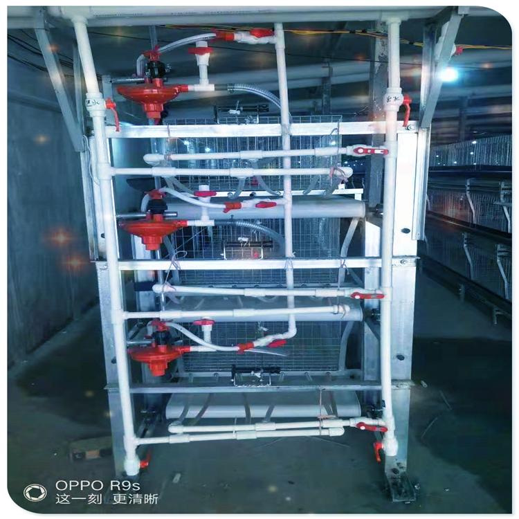 客户定制东北经济实惠养殖设备肉鸡鸡笼   笼养集中管理节省能源和资源