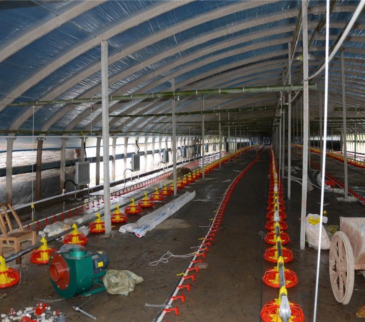 养鸡设备全自动化料线 养鸡料线蛟龙 肉鸡自动化