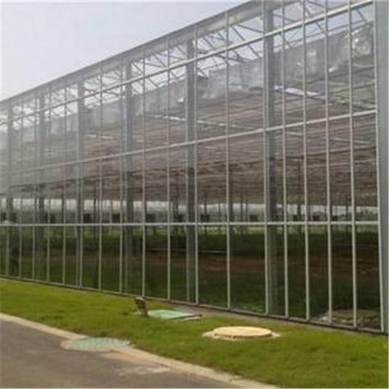 连栋温室价格 连栋智能温室农业项目 连栋薄膜温室蔬菜大棚 北方园艺温室