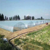 薄膜温室厂家 连栋薄膜大棚设计安装 薄膜蔬菜育苗温室工程