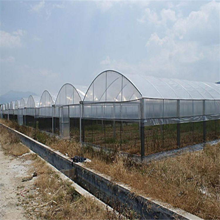 薄膜温室大棚供应 承建薄膜连栋温室 薄膜温室大棚农业项目