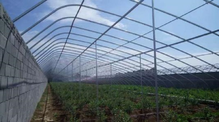 薄膜温室大棚造价 日光温室大棚 智能日光温室大棚