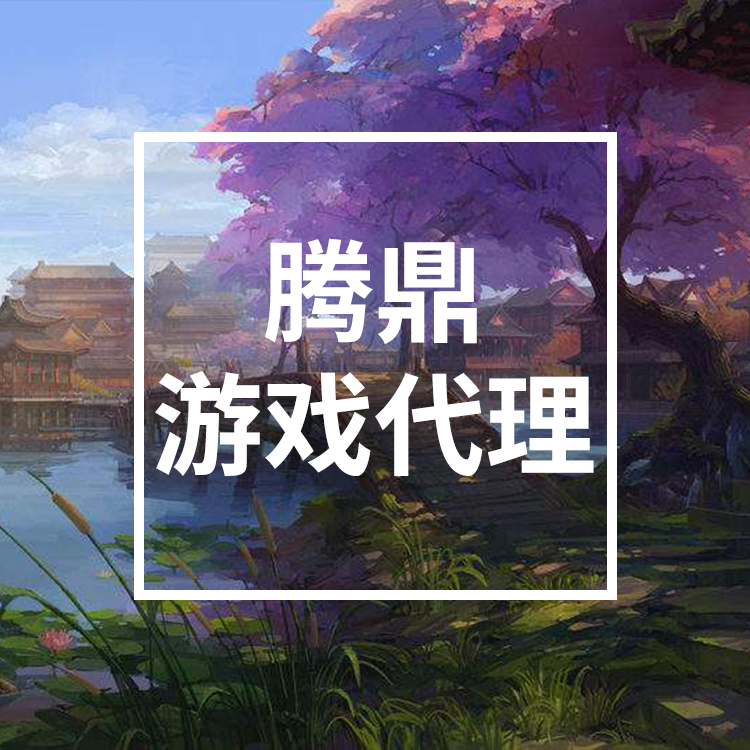 代理手游公司 培训支持 业务支持 产品支持