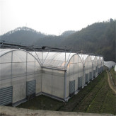 薄膜温室大棚承接 连栋薄膜温室工程 北方蔬菜薄膜温室建造报价