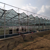 连体阳光板温室 阳光板温室大棚建设项目 pc阳光板温室结构特点