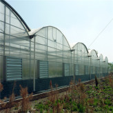 阳光板温室工程 承建阳光板温室项目 智能连栋阳光板温室大棚报价设计